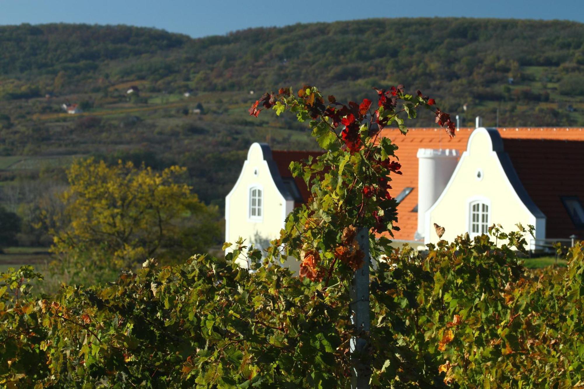 Liszkay Borkuria Hotel Monoszlo ภายนอก รูปภาพ